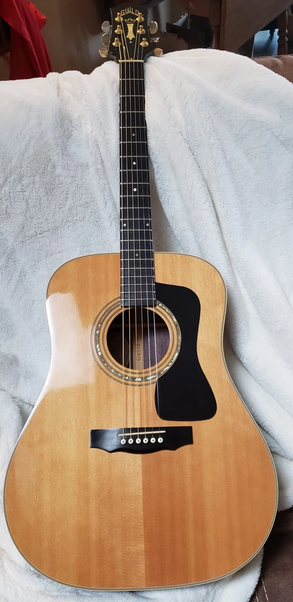 Just picked up a Guild DV-52 | Let's Talk Guild