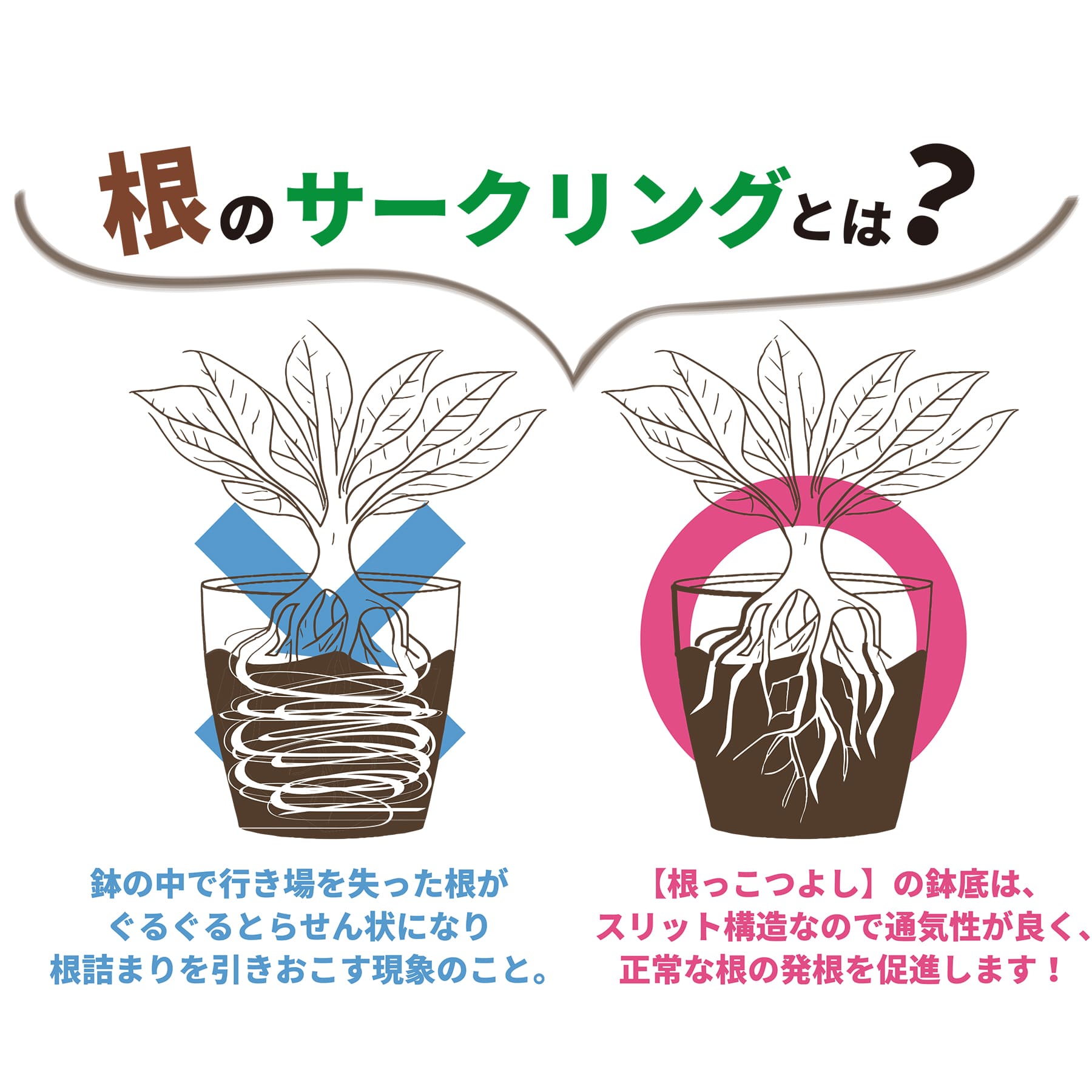 根っこつよし 3.5号（4個パック） アップルウェアー（apple