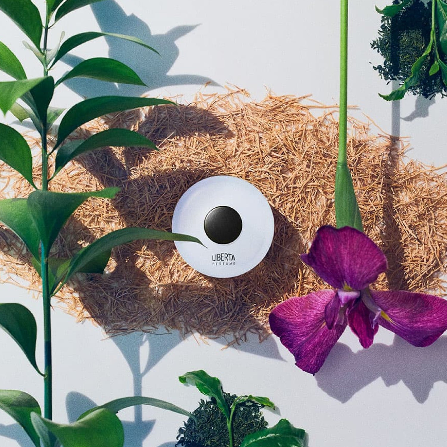 グリーン オードパルファム 50ml – Liberta Perfume（リベルタパフューム）