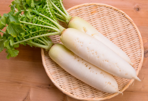 ダイコン｜とれたて大百科｜食や農を学ぶ｜JAグループ