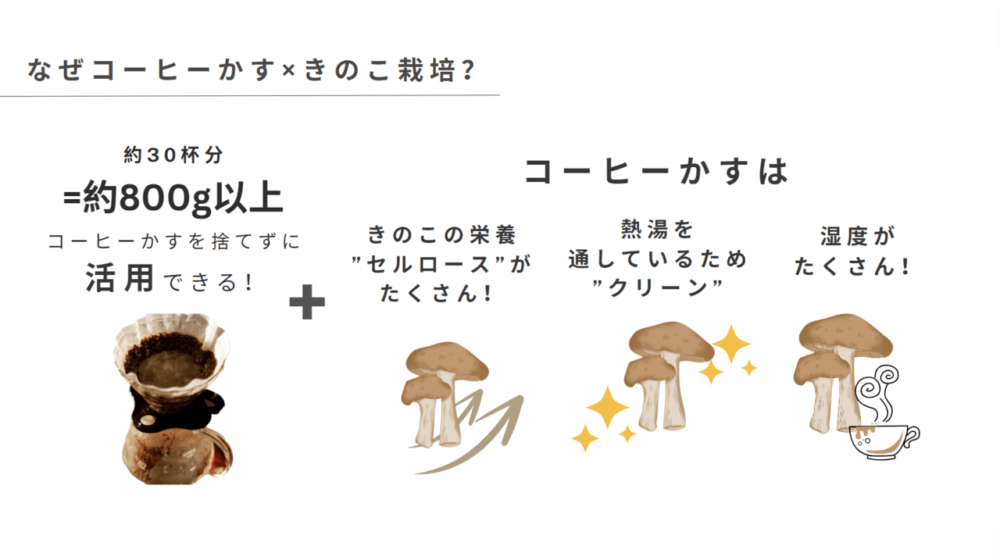 コーヒー好きとキノコ好き必見！フィンランド発、コーヒー粕で育てる