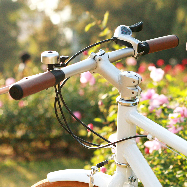 700Cアルミクロスバイク 6段変速 reise BR-700 | WACHSEN(ヴァクセン)