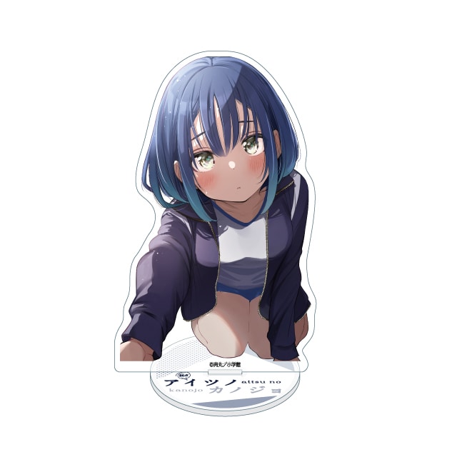 アイツノカノジョのグッズ一覧 : サンデープレミアムショップ | 小学館