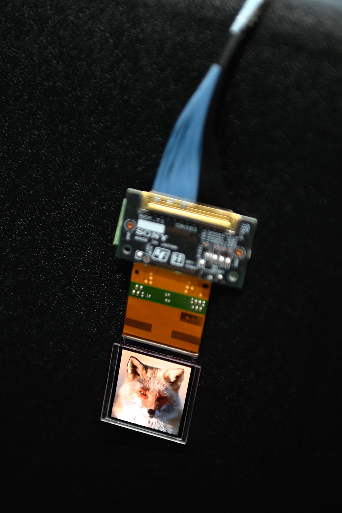 研究開発の道標は体験価値の最大化。メタバースと半導体技術でSFを現実