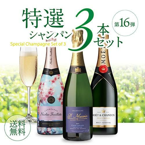 P10倍】【1本/5,300円】 送料無料 シャンパンセットモエ＆ニコラ