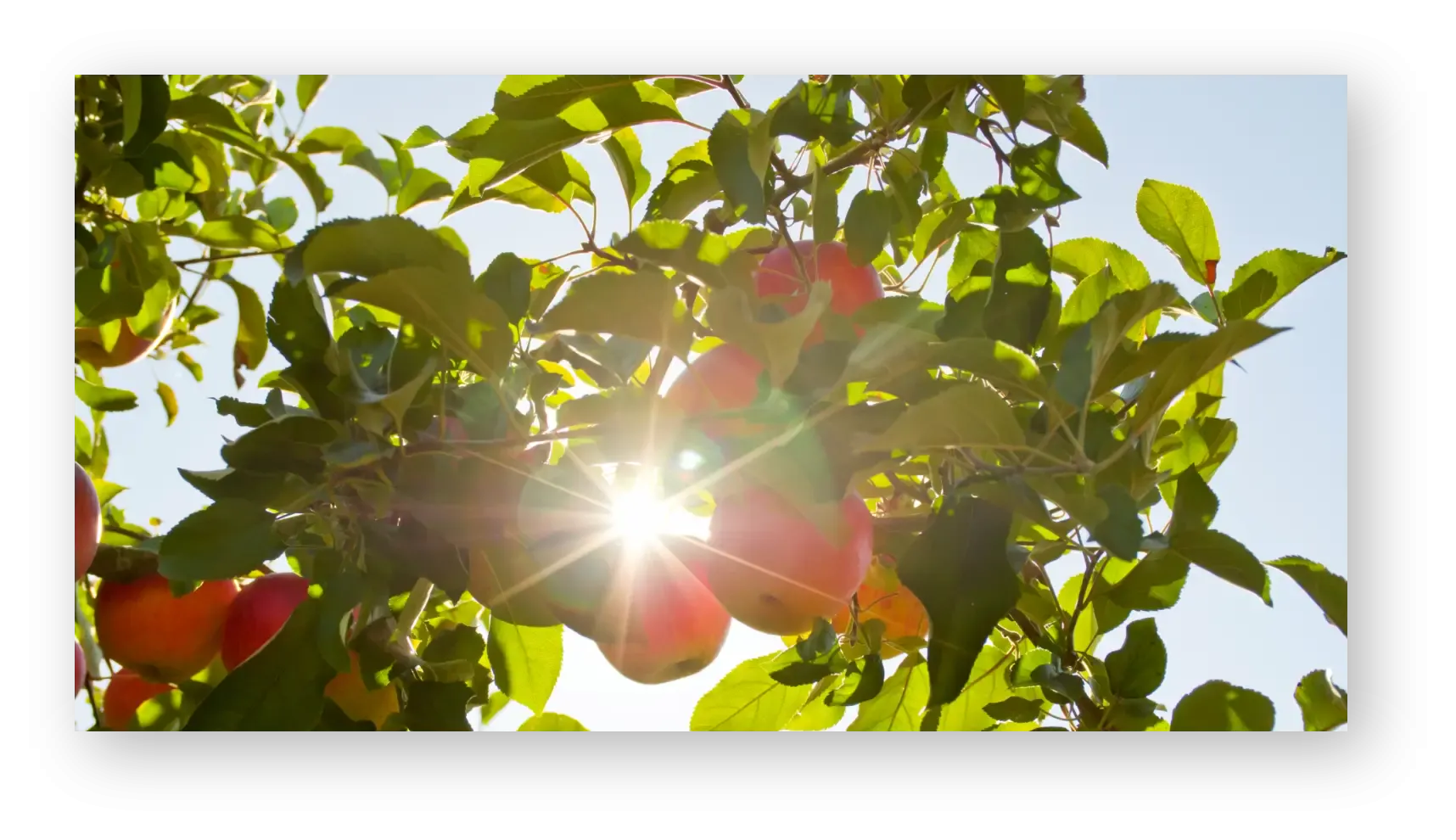 炭酸パック As_iris（アズイリス）【販売元：Lilyas 株式会社】