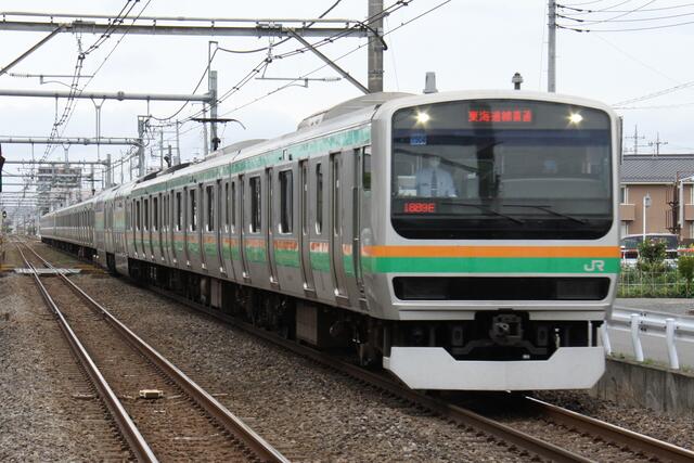 上野東京ライン・湘南新宿ライン・E231系～カボチャの帯でどこまでも