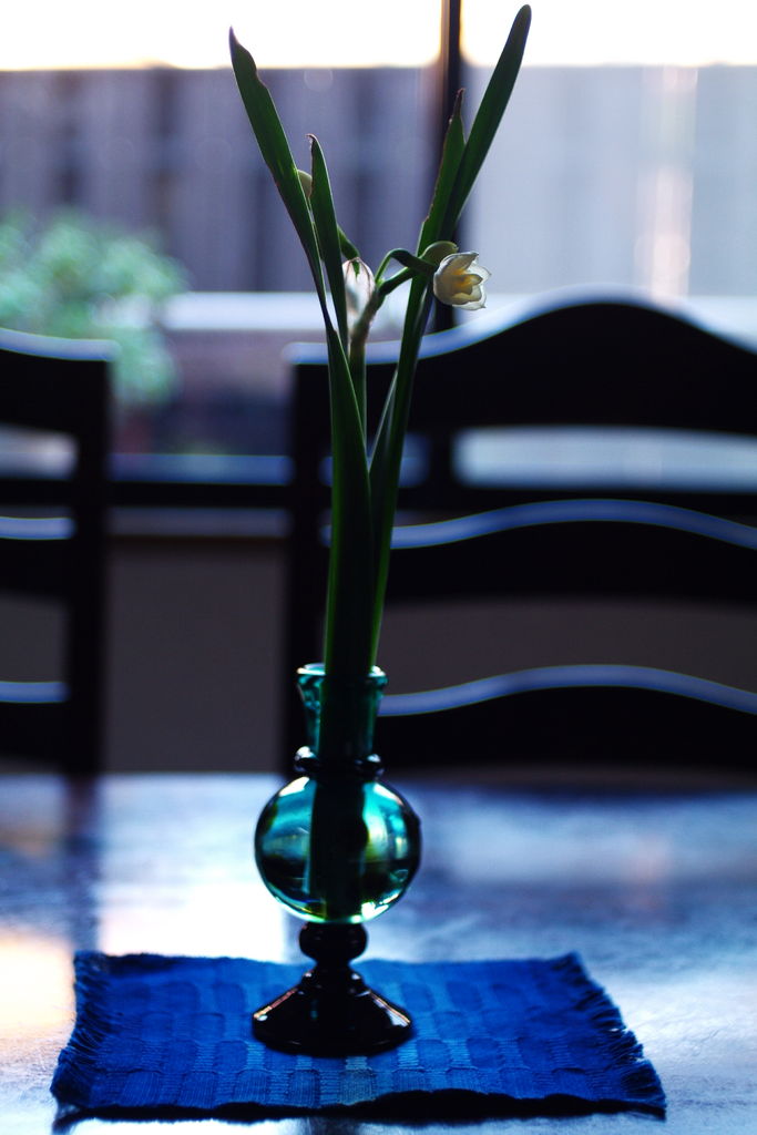 舩木倭帆さんのガラス。 : Mod-concept Design Works