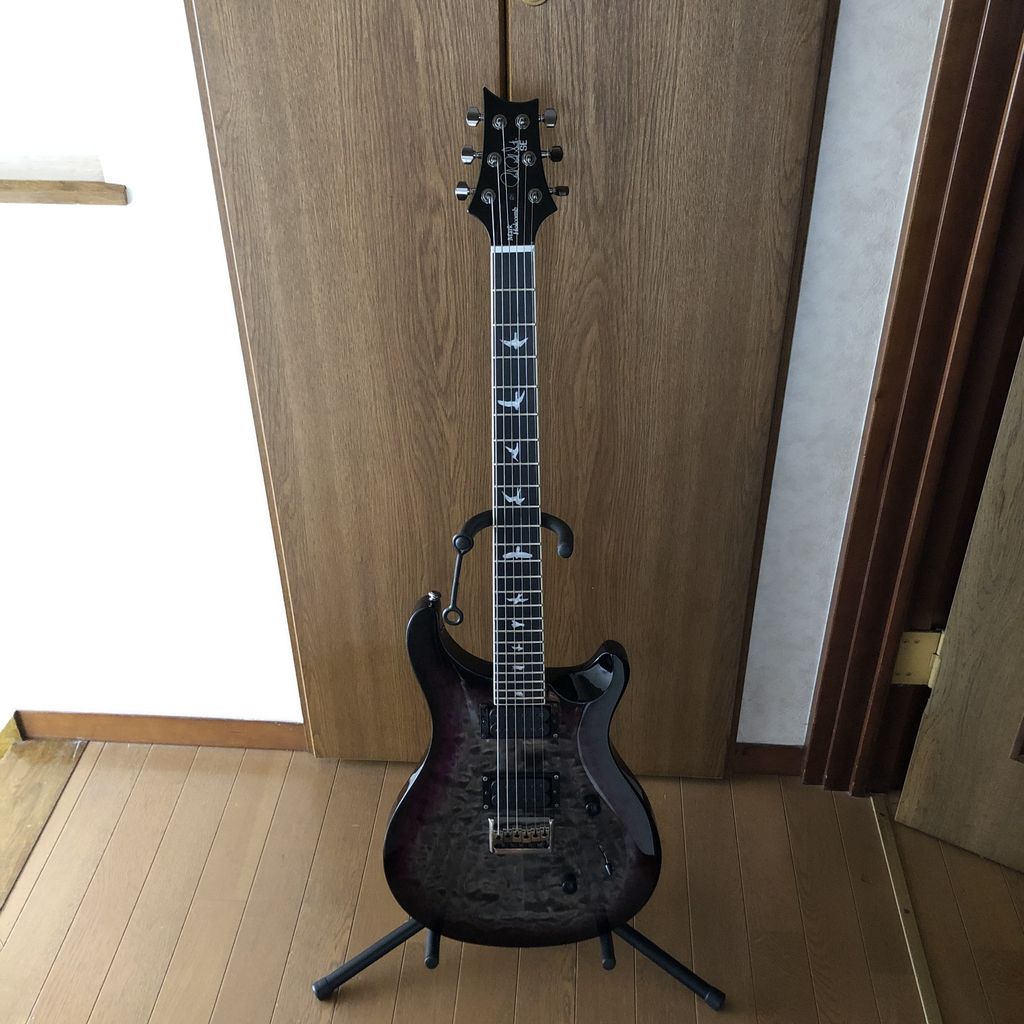 173 PRS SE Custom 24 のペグ交換について : 暮らしについて
