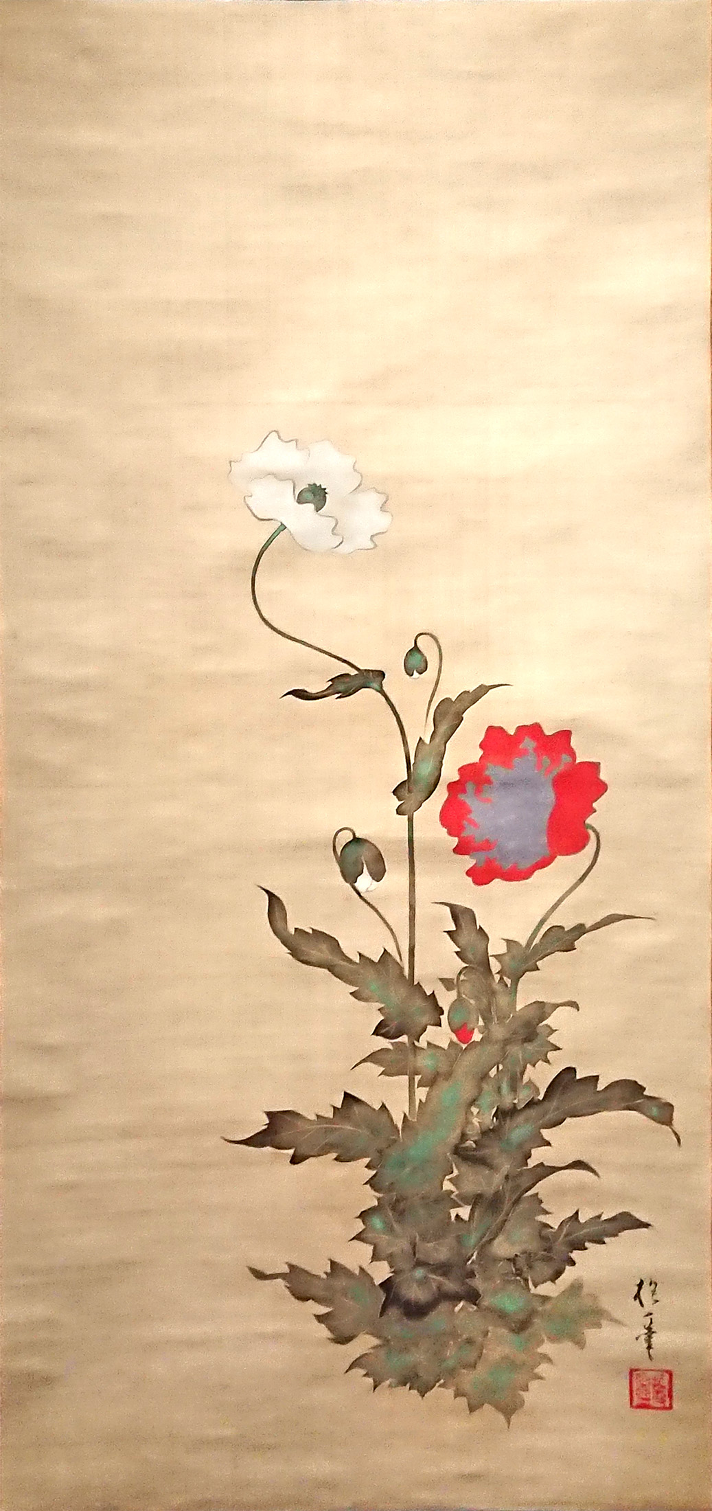 酒井抱一： 芥子藪柑子図｜琳派と印象派展・後期展示 : クラシック音楽