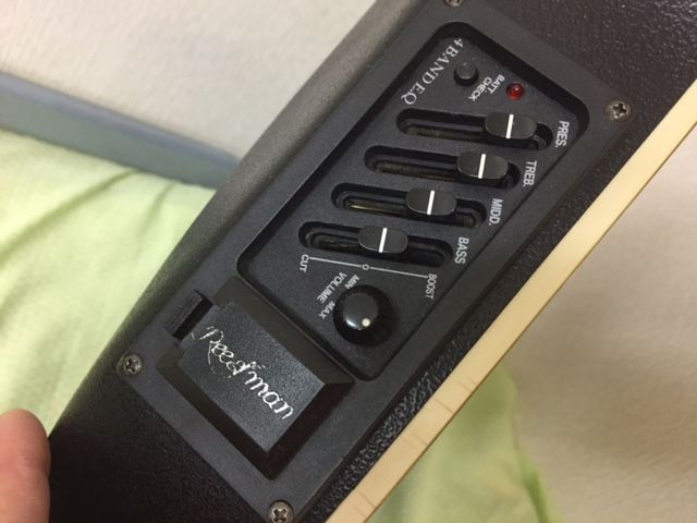 Reed Man 501 エレアコ TOKYO IN JAPAN ??? : 鈴木宏治のブログ