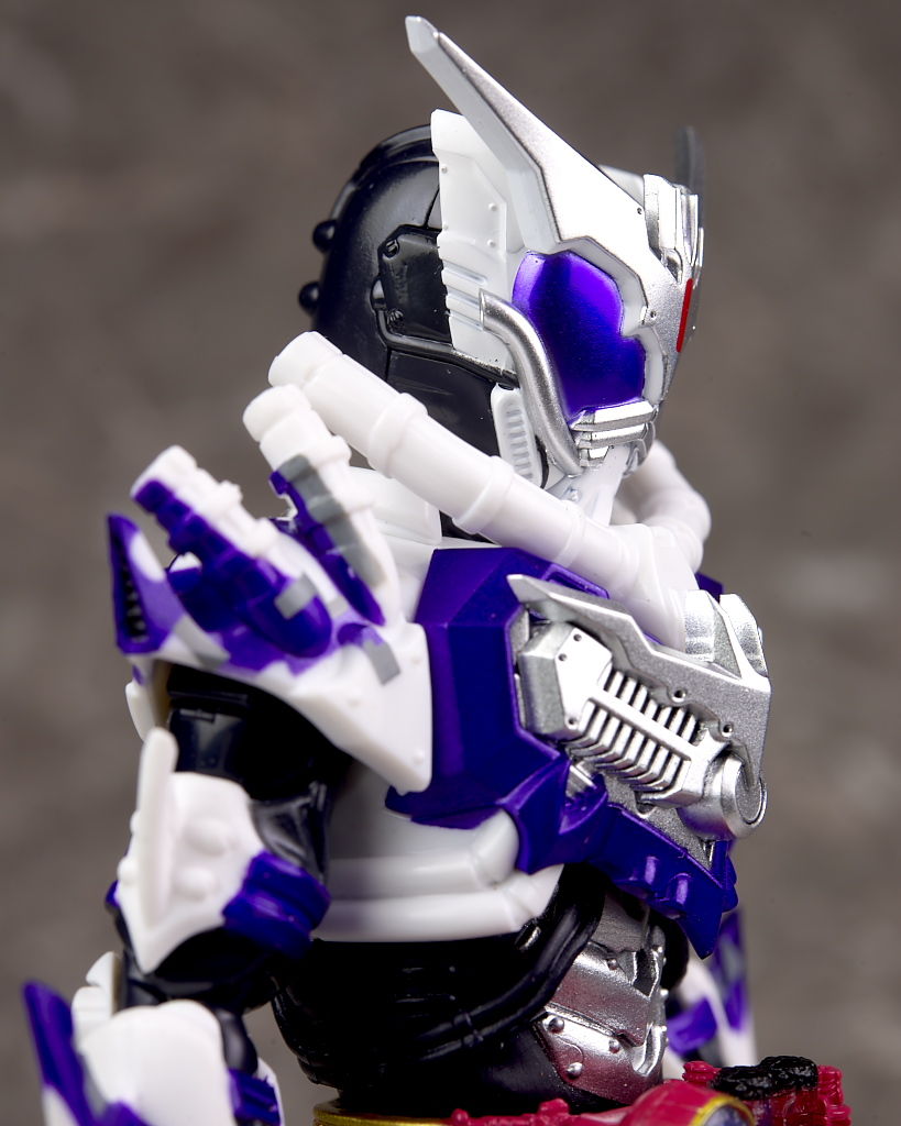 S.H.フィギュアーツ 仮面ライダーマッドローグ レビュー : はっちゃか