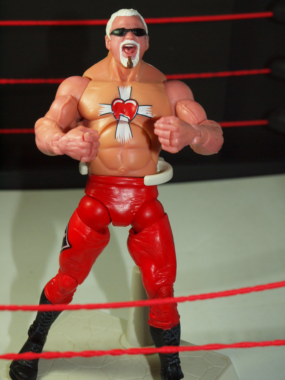 TNA(WWE)スコット・スタイナー : puroresu619のblog