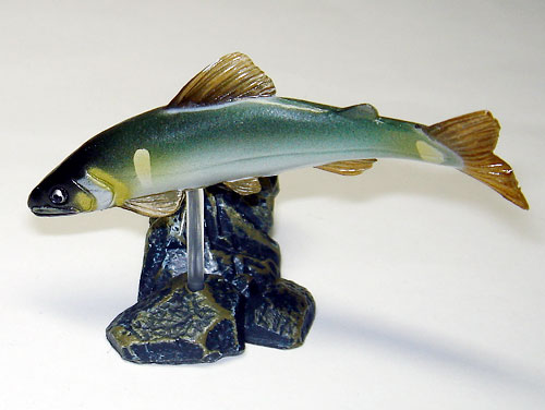 ユージン「原色淡水魚図鑑1 [改訂版] 」レビュー : 食玩トピックス