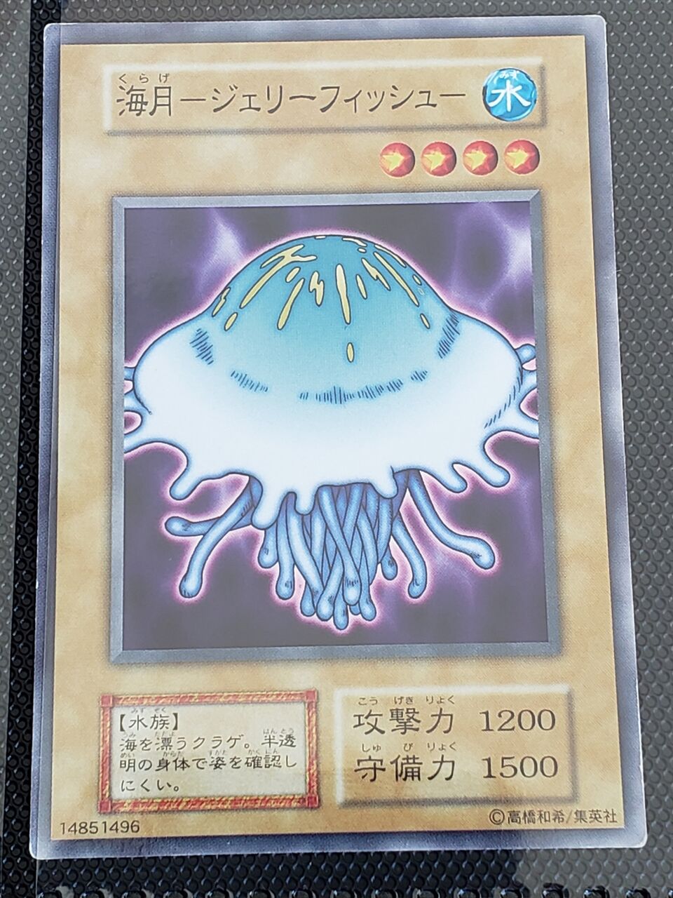 海月―ジェリーフィッシュ―】遊戯王からクラゲについての疑問を調べる