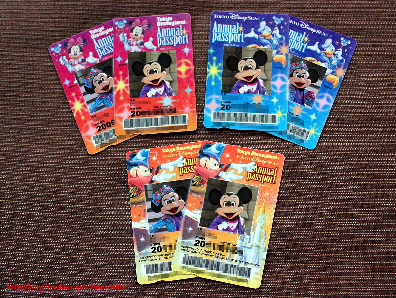 春到来。年間パス購入で悩んでいる方は今がチャンス…？？ : TDRな