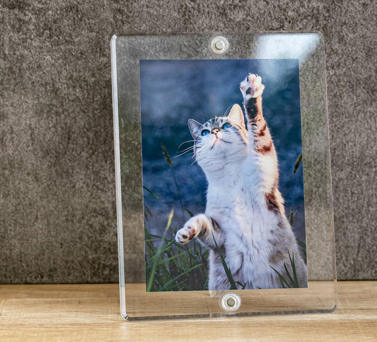 マグパチ フォトフレーム スタンダード L判サイズ （ フォトスタンド