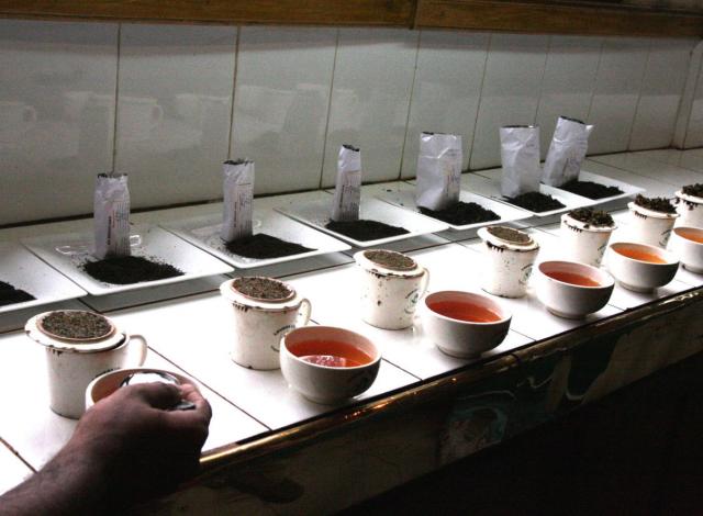 紅茶専門店 ティーズリンアン / テイスティングカップ