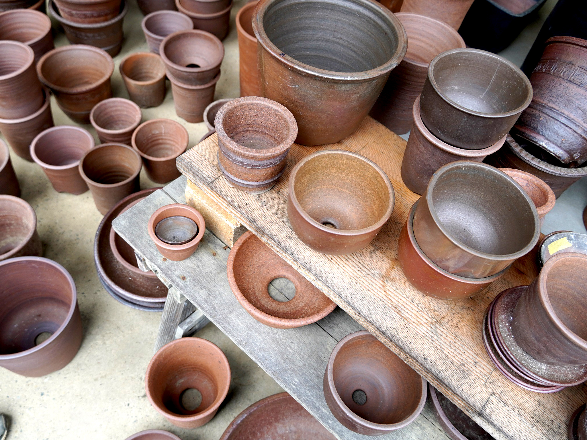 博士も愛用した「植物のために植木鉢『伝市鉢』」を作り続ける