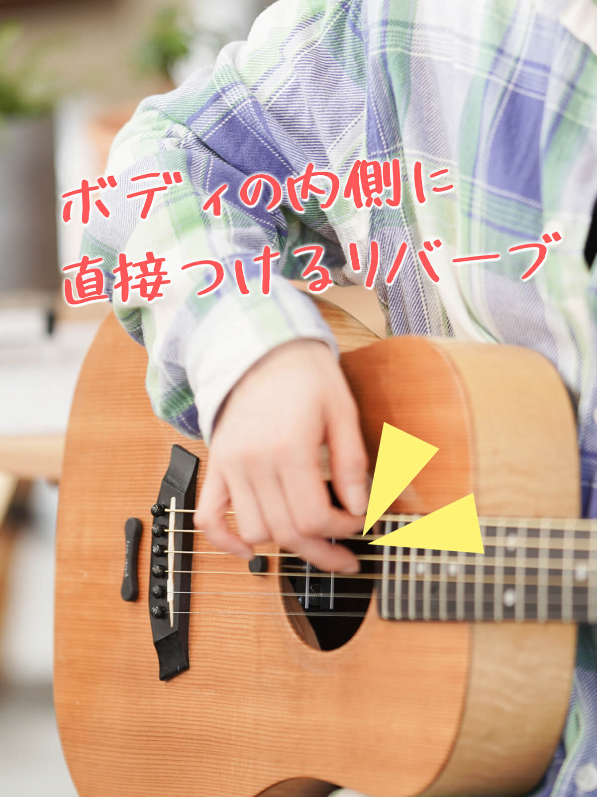 アコースティックギター用 ナチュリバーブ natu-reverb AC-1n | アンプ