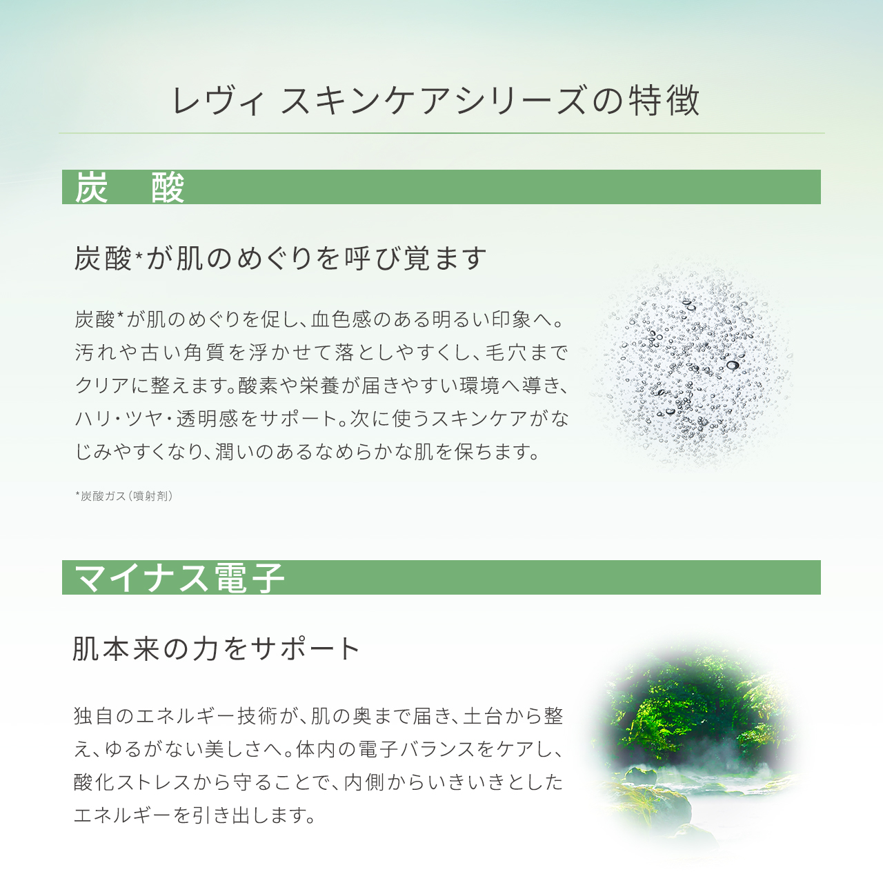 新発売】レヴィ スキンケアシリーズがリニューアル！ – LOUVREDO直営