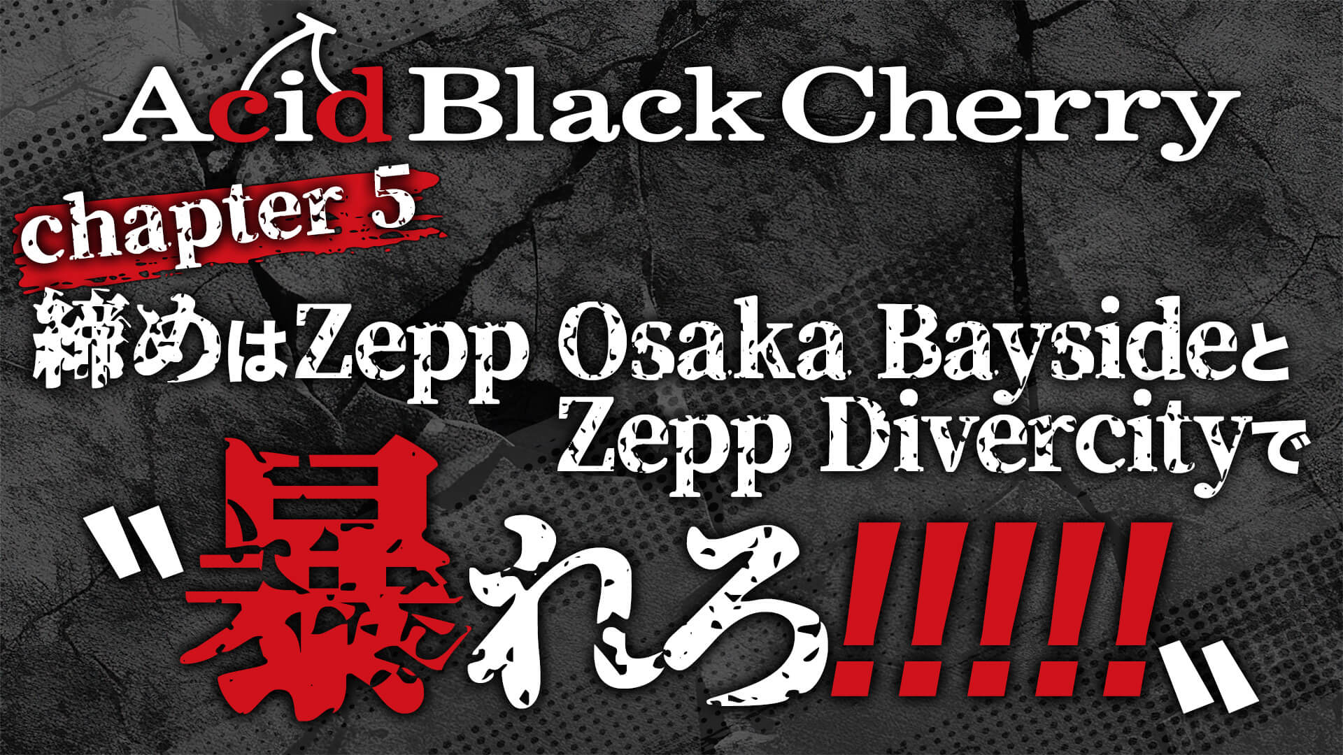 Acid Black Cherry project〝暴れろ!!!!!〟