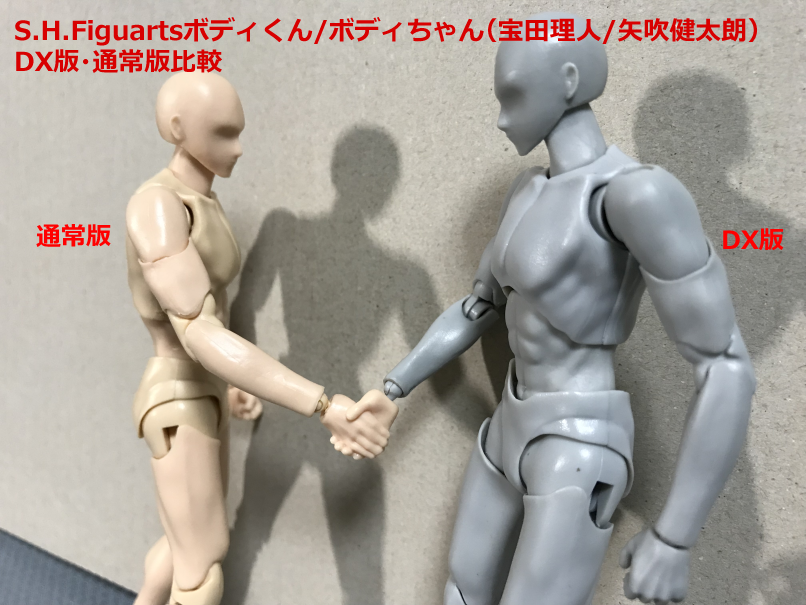 2017年10月版）ボディくん・ボディちゃんDX版と通常版比較レビュー