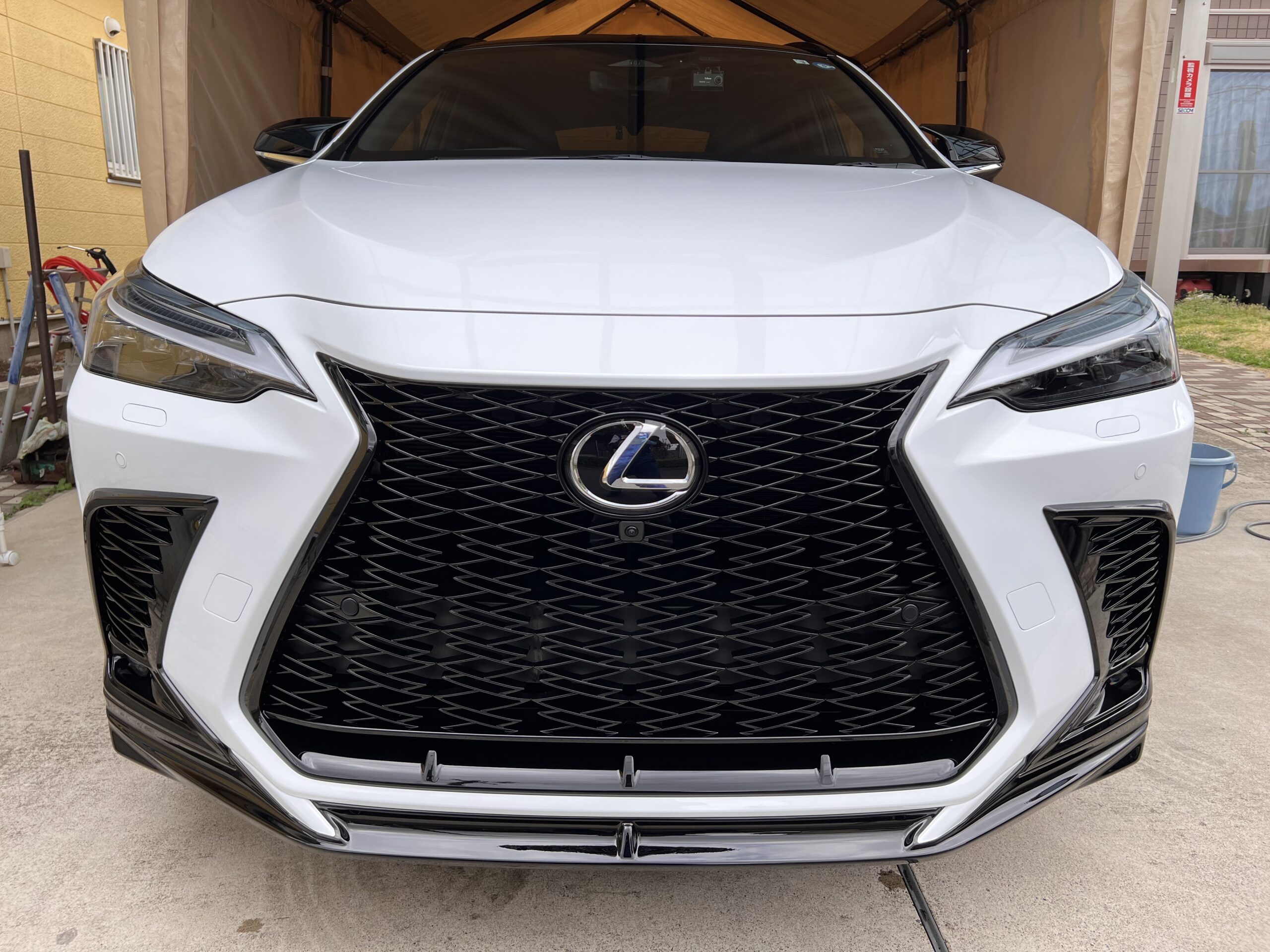 レクサスNX350h】【ホワイトノーヴァガラスフレーク】EXキーパー