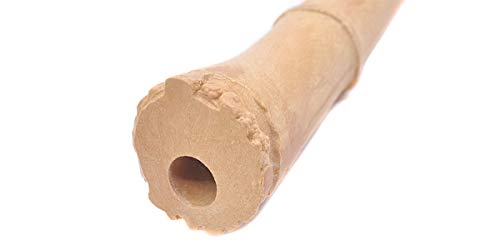 Amazon | 尺八 樹脂製 1尺8寸管 key D （完全調律尺八 悠) | 尺八