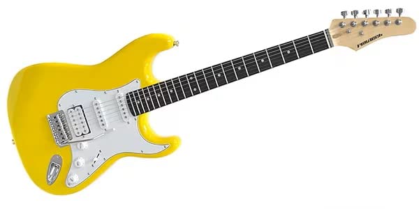 Amazon | PLAYTECH (プレイテック) エレキギター ストラトキャスター