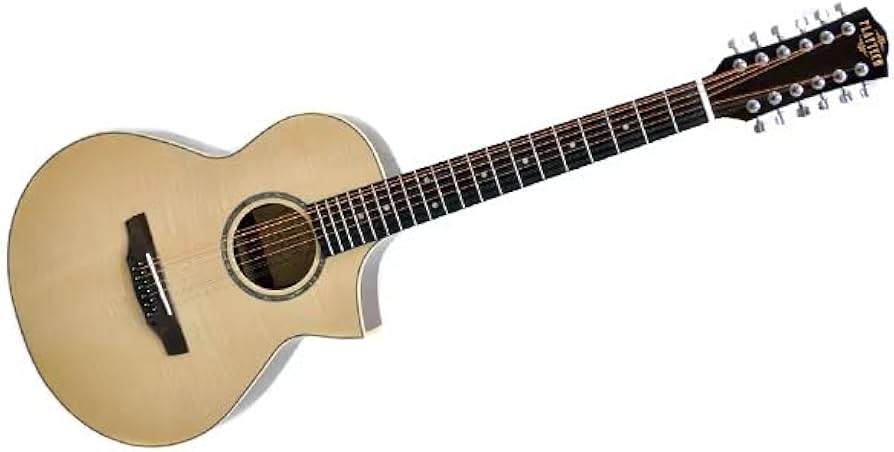 Amazon | PLAYTECH (プレイテック) 12弦アコースティックギター ミニ
