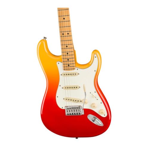Amazon.com: Fender Player Plus Stratocaster Electric Guitar, with