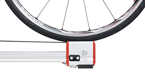 Amazon | MINOURA(ミノウラ) R700 LiveRoll 3本ローラー チタンカラー