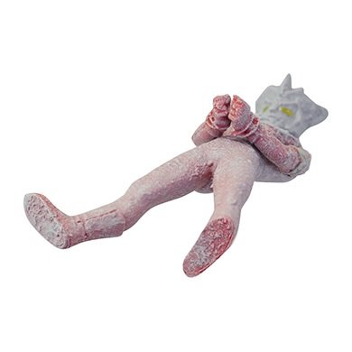 Amazon.co.jp: ガシャポン HGヒーローズ外伝 ウルトラ兄弟 大ピンチ&大