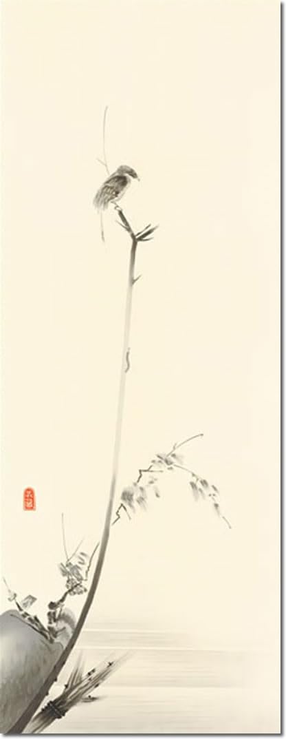 Amazon.co.jp: 掛け軸-枯木鳴鵙図／宮本 武蔵(尺五)幅54.5×高さ190