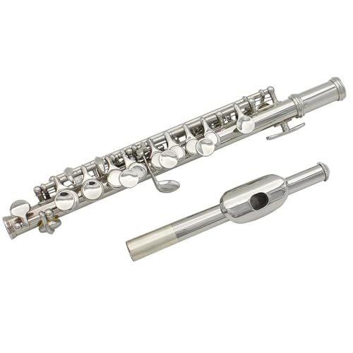 Amazon | シルバーCキーピッコロハーフサイズフルート銀メッキ白銅