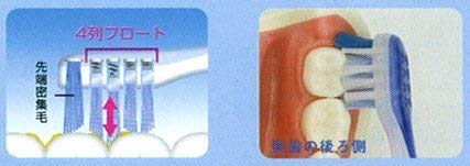 Amazon.co.jp: GC 音波振動歯ブラシ プリニアスリム用 替えブラシ