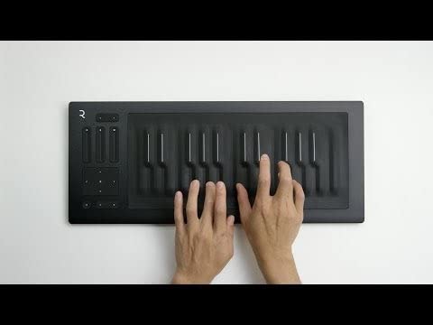 Amazon | ROLI Seaboard RISE 25 MIDI コントローラー [並行輸入品