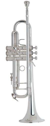 Amazon | ヴィンセント・バック（VINCENT・BACH） B♭トランペット