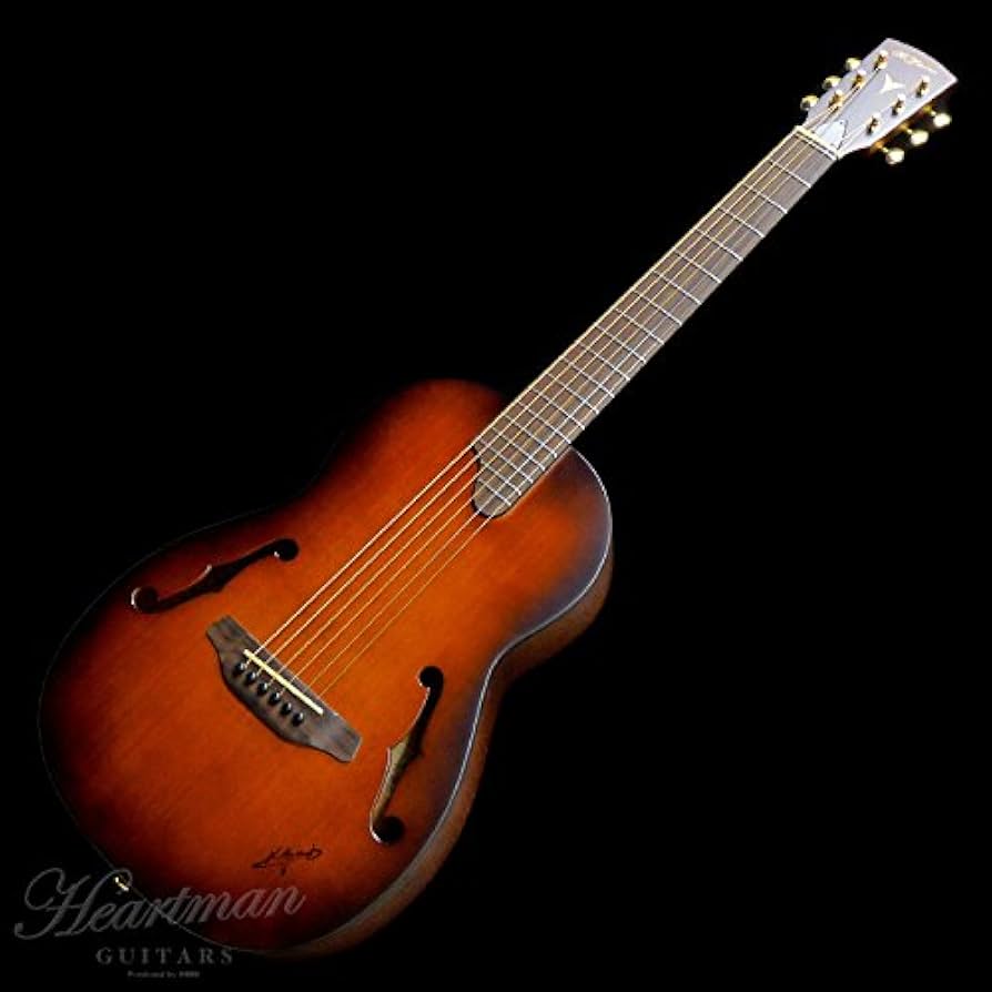 Amazon.co.jp: K.Yairi Kヤイリ Nocturne f-hole Custom