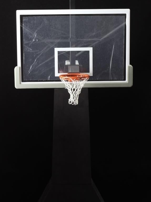 DZHSNWJ ENTERBAY HD-1002 Basketball Hoop 1/6 Action Figure New in