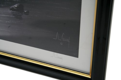 Amazon.co.jp: キャセイ 限定版画 アンソニー・キャセイ ハワイアン