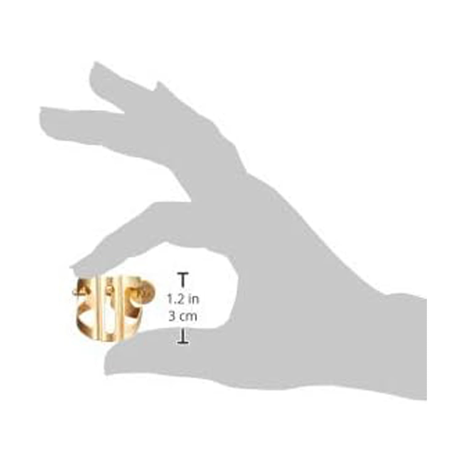 Amazon | BG (ビージー) トラディション リガチャー テナー