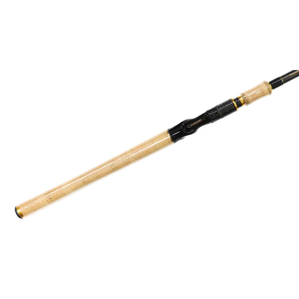 Amazon | エバーグリーン ポセイドン ゼファー アバンギャルド ZAGC