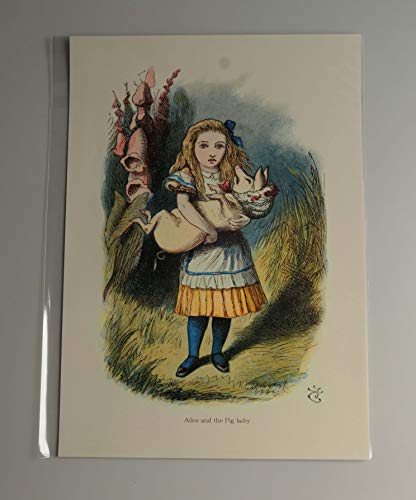 Amazon.co.jp: BiblioArt Series ジョン・テニエル「不思議の国の