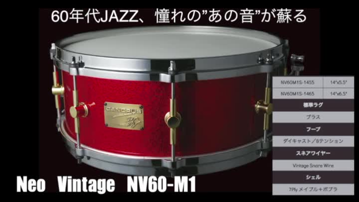 Amazon.co.jp: CANOPUS NEO-Vintage M1 NV60M1S-1455 14