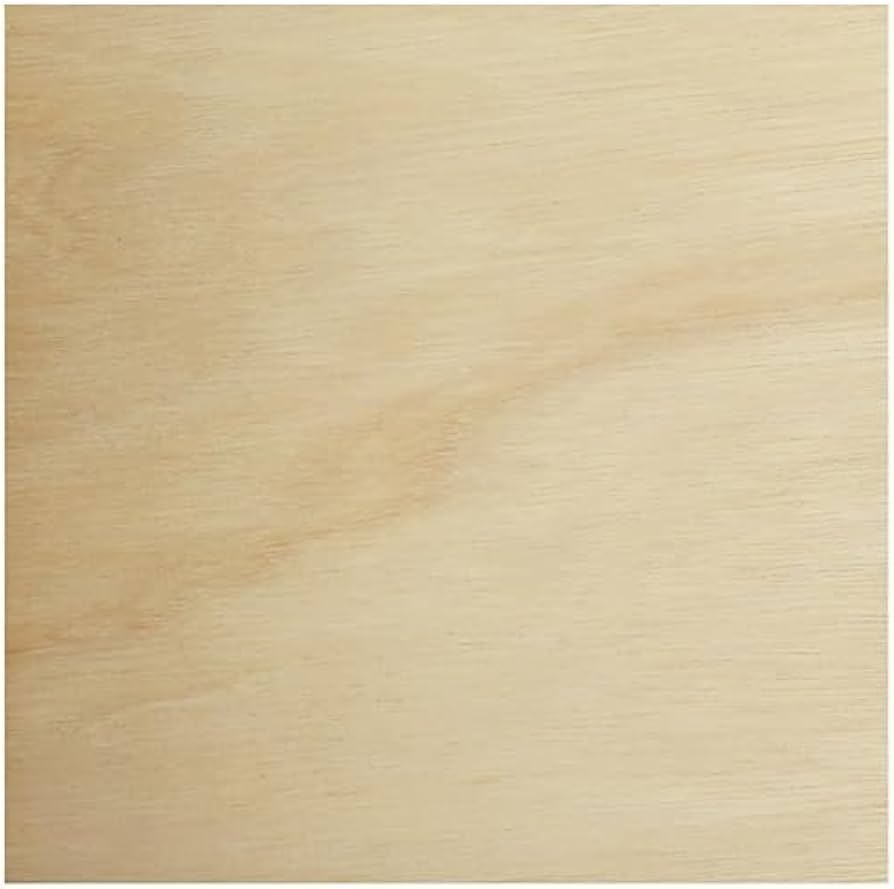 Amazon.co.jp: アシーナ 木製パネル S2サイズ 15008107 : ホビー