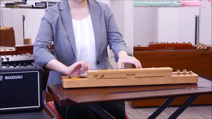 Amazon | SUZUKI スズキ 高級電気大正琴 弁慶 | コンデンサ | 楽器