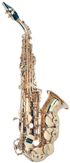 Amazon | PLAYTECH (プレイテック) カーブドソプラノサックス