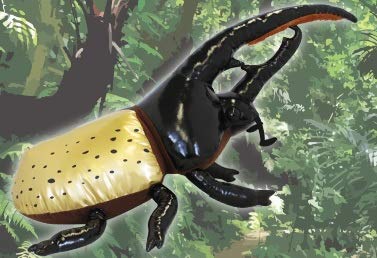 Amazon.co.jp: ヘラクレスオオカブト単品 【ヘラクレスオオカブトVS